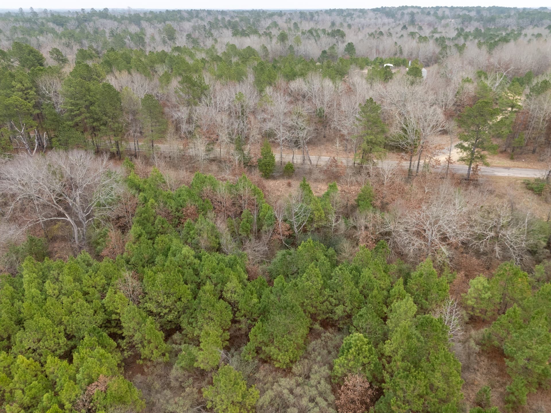 25 acres in Harrison County - photo 16