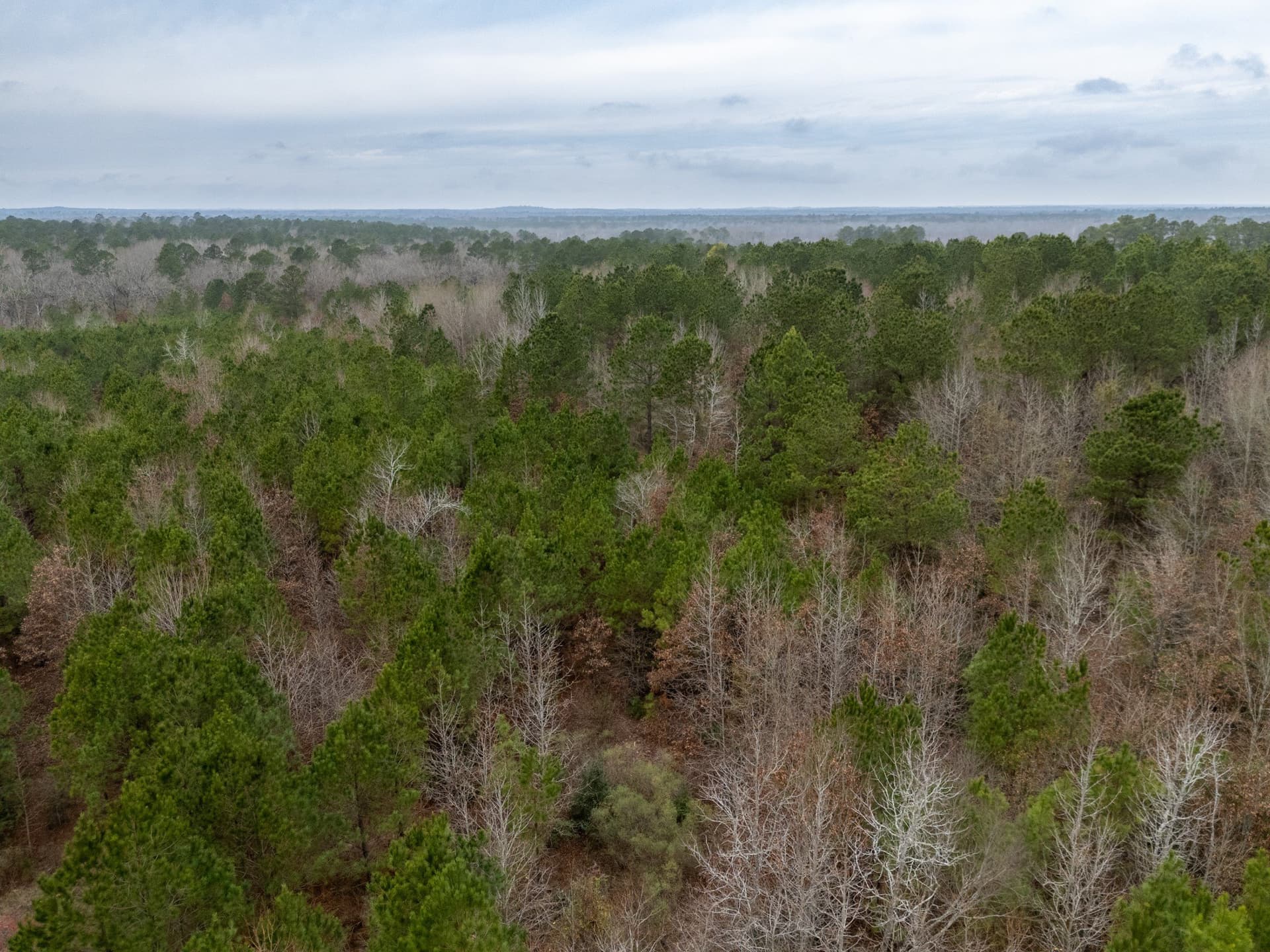 25 acres in Harrison County - photo 21