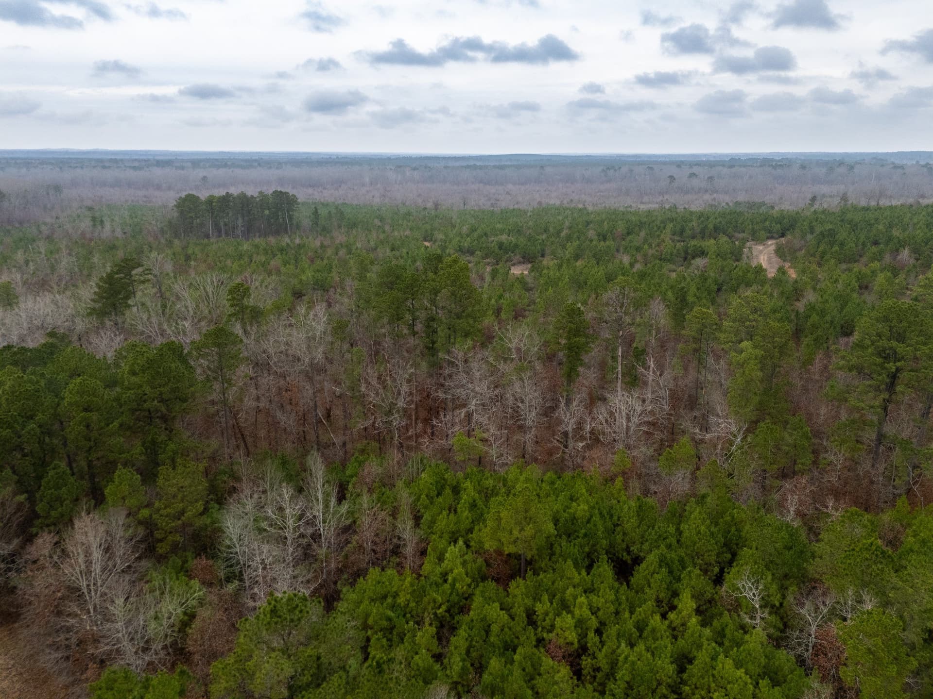 25 acres in Harrison County - photo 3