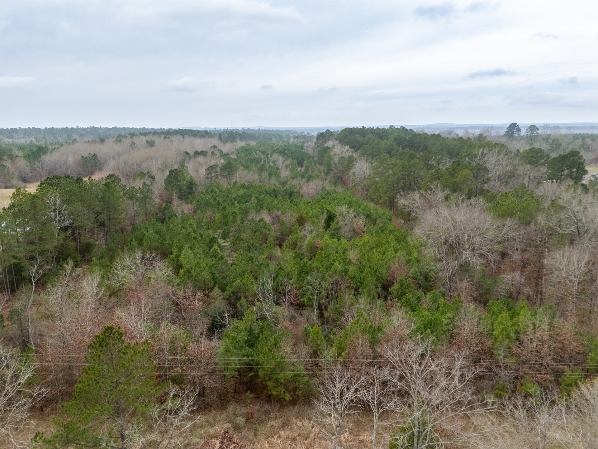 25 acres in Harrison County - photo 9