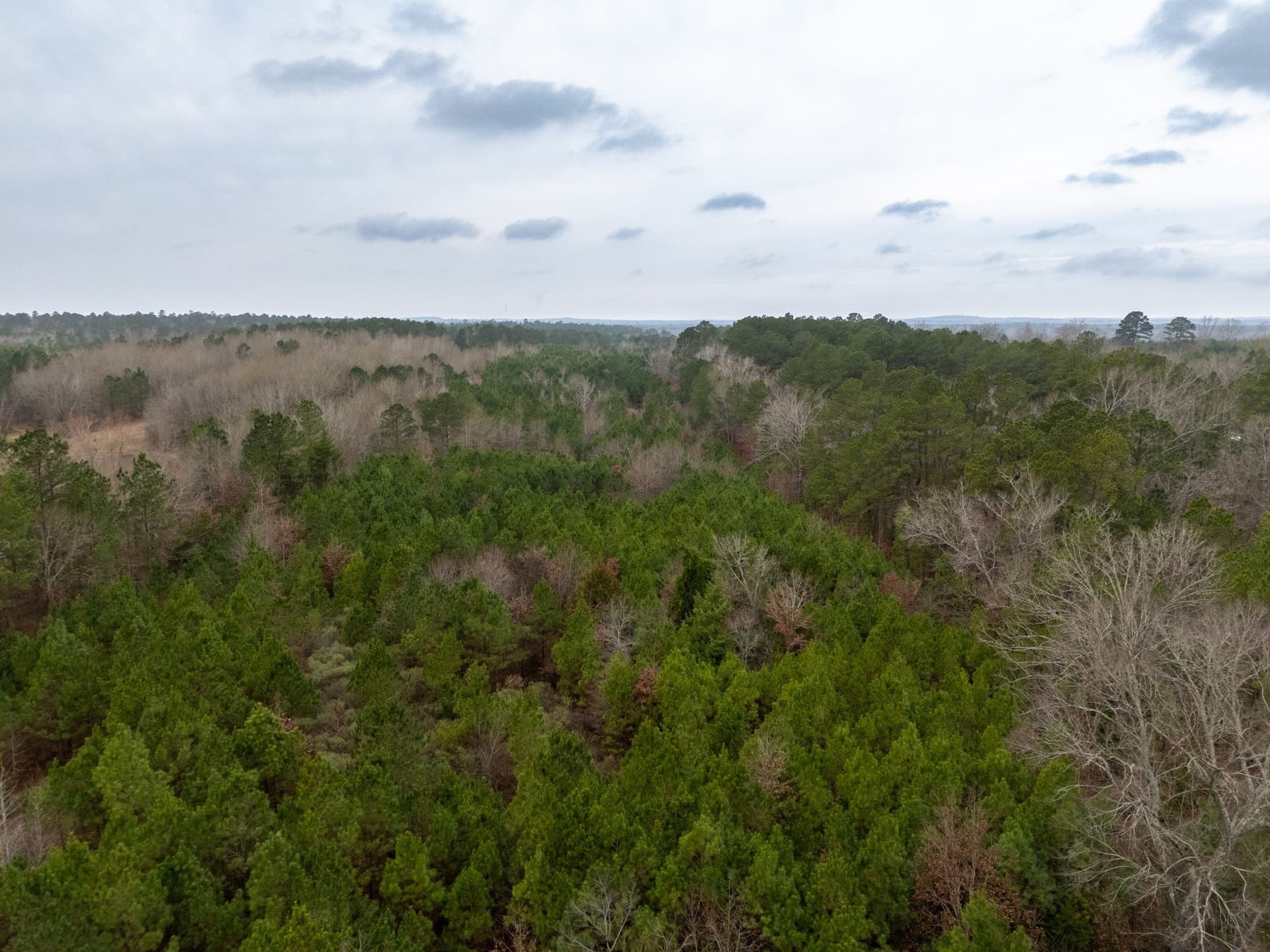 25 acres in Harrison County - photo 22