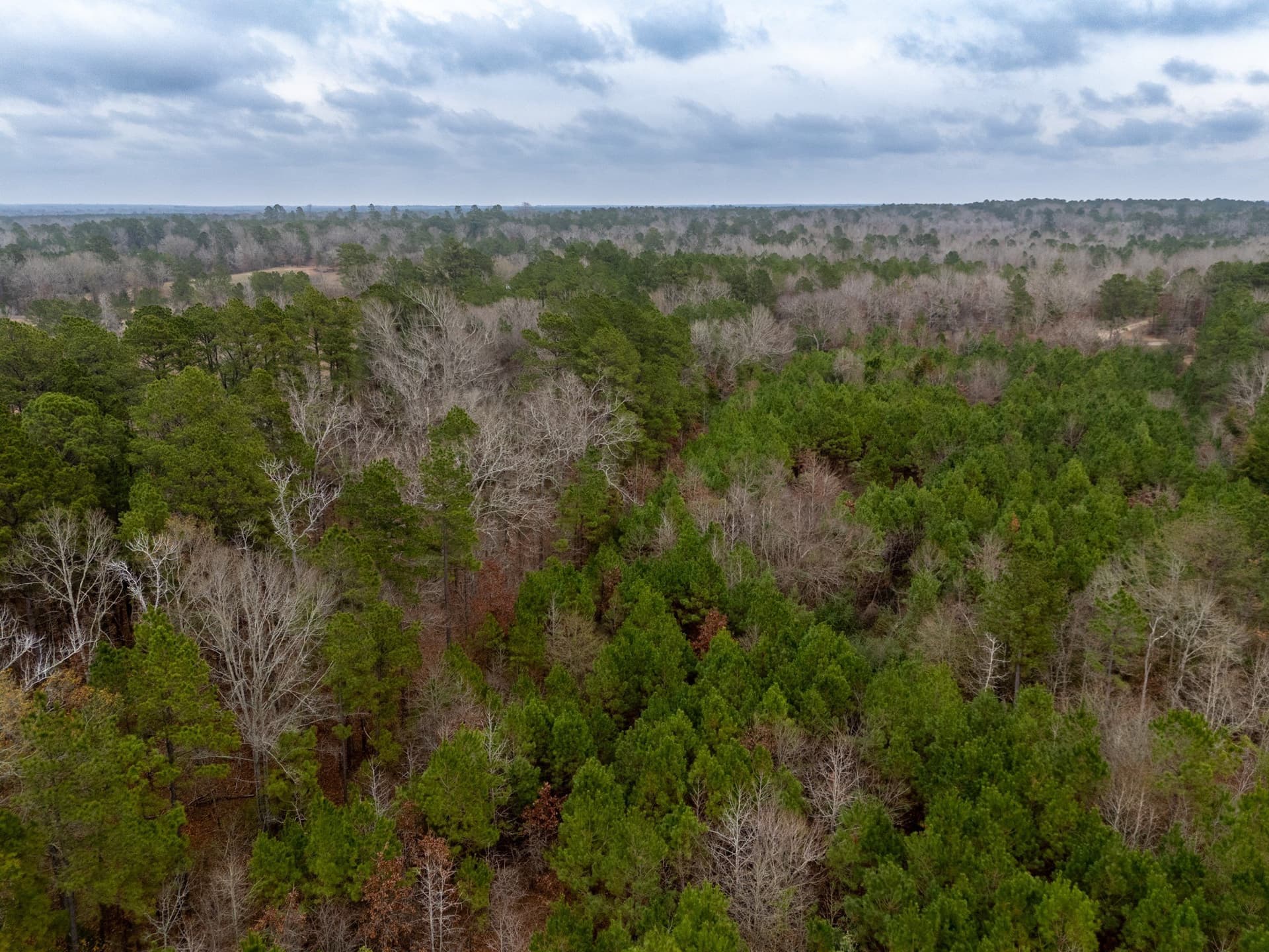 25 acres in Harrison County - photo 15
