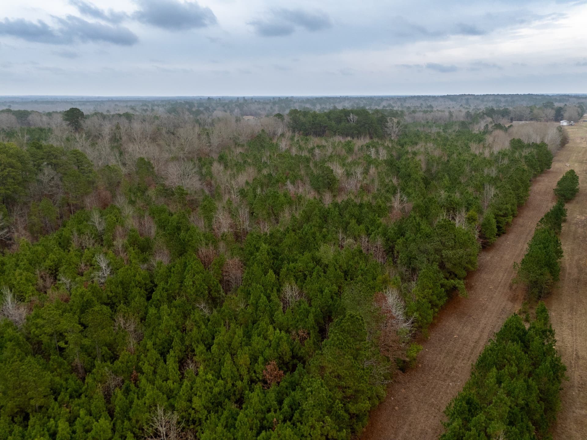 25 acres in Harrison County - photo 4