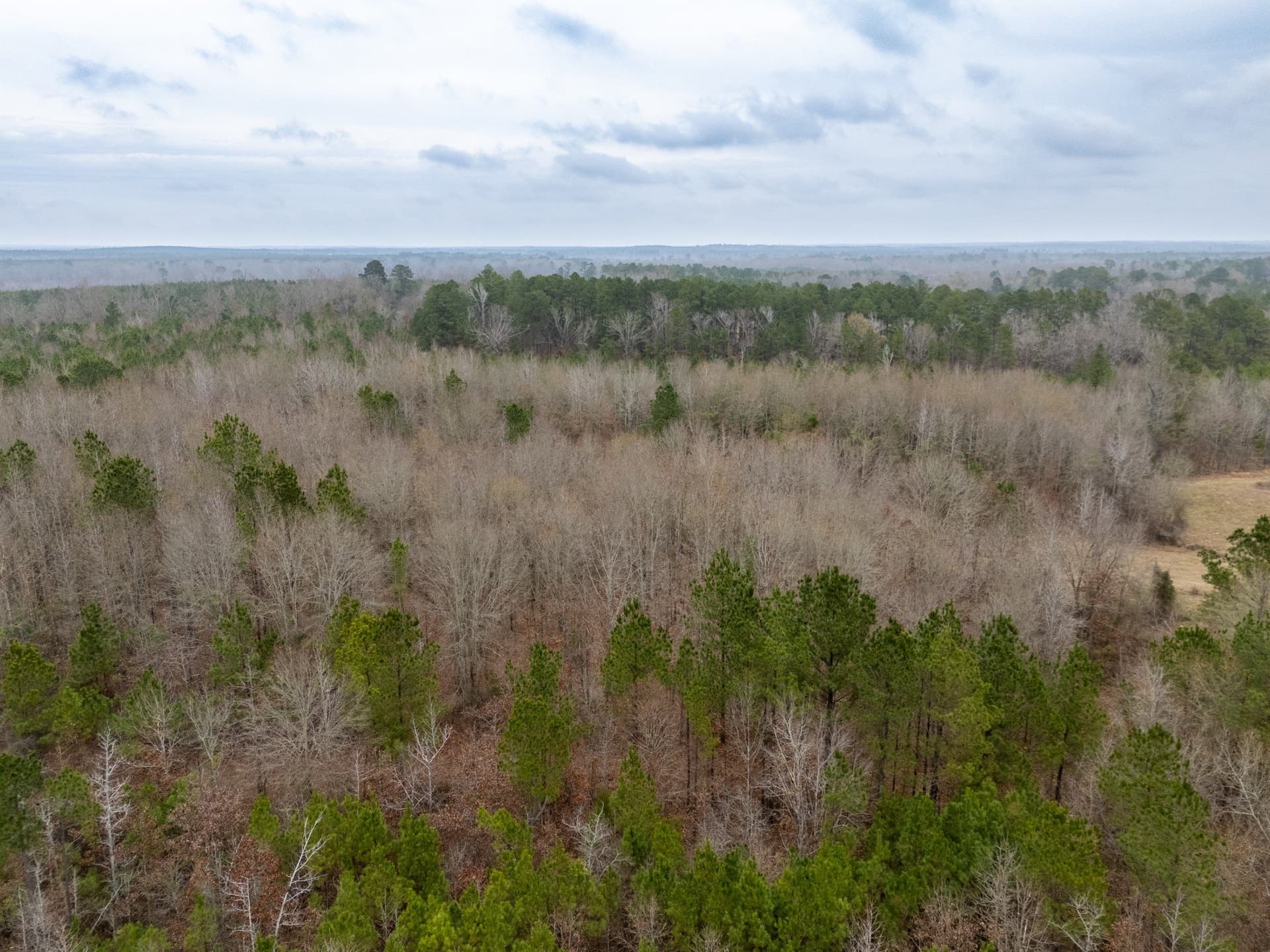 25 acres in Harrison County - photo 20