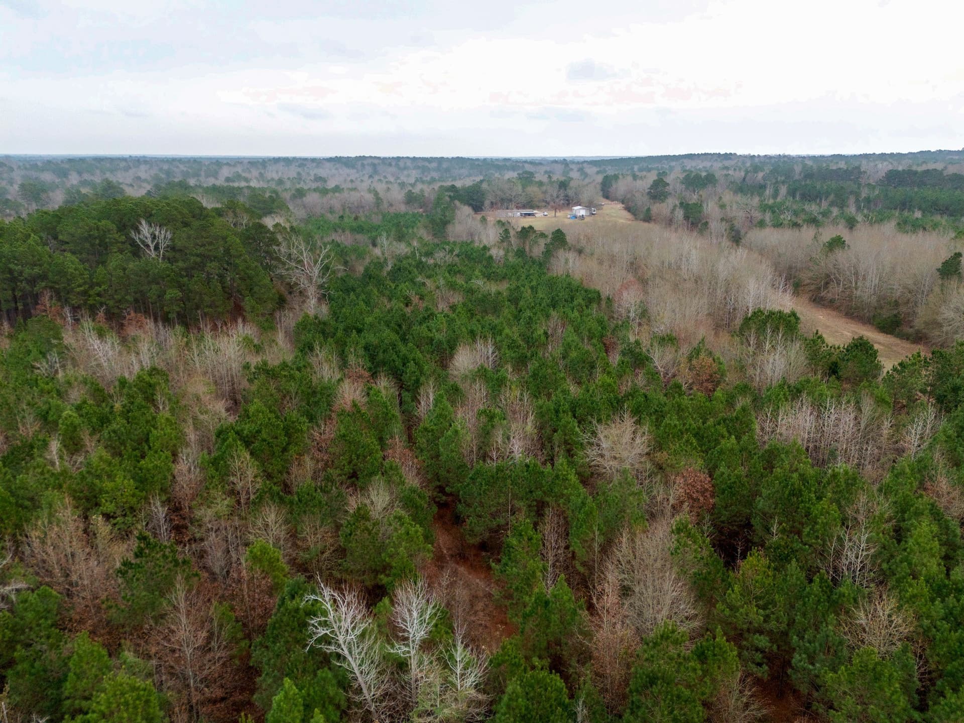 25 acres in Harrison County - photo 5