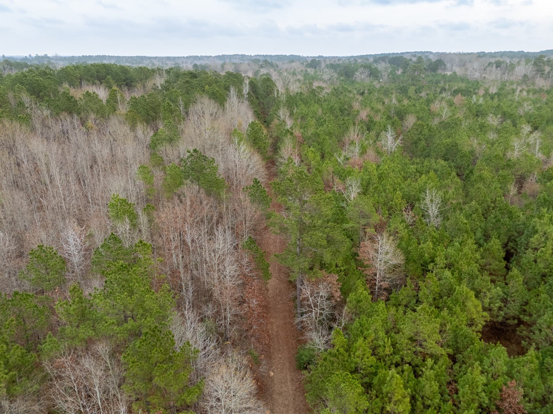 25 acres in Harrison County - photo 12