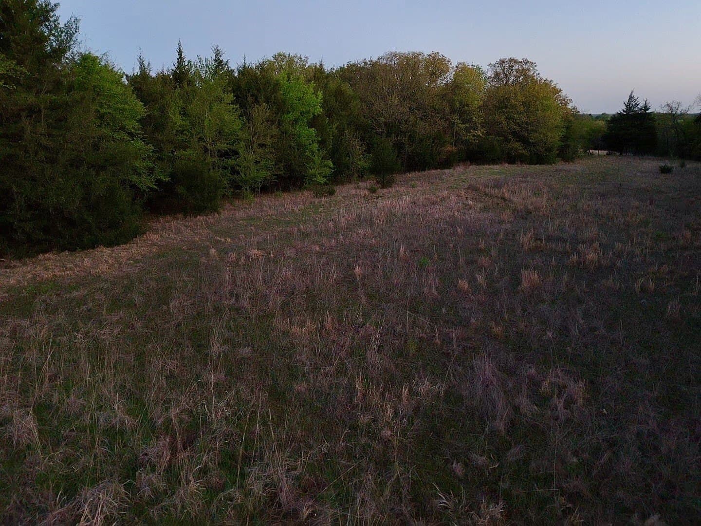 8 acres in Fannin County - photo 7