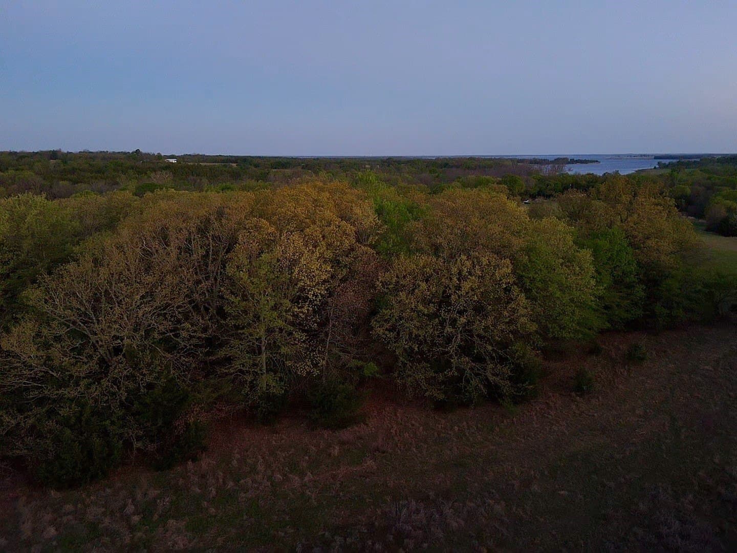 8 acres in Fannin County - photo 8