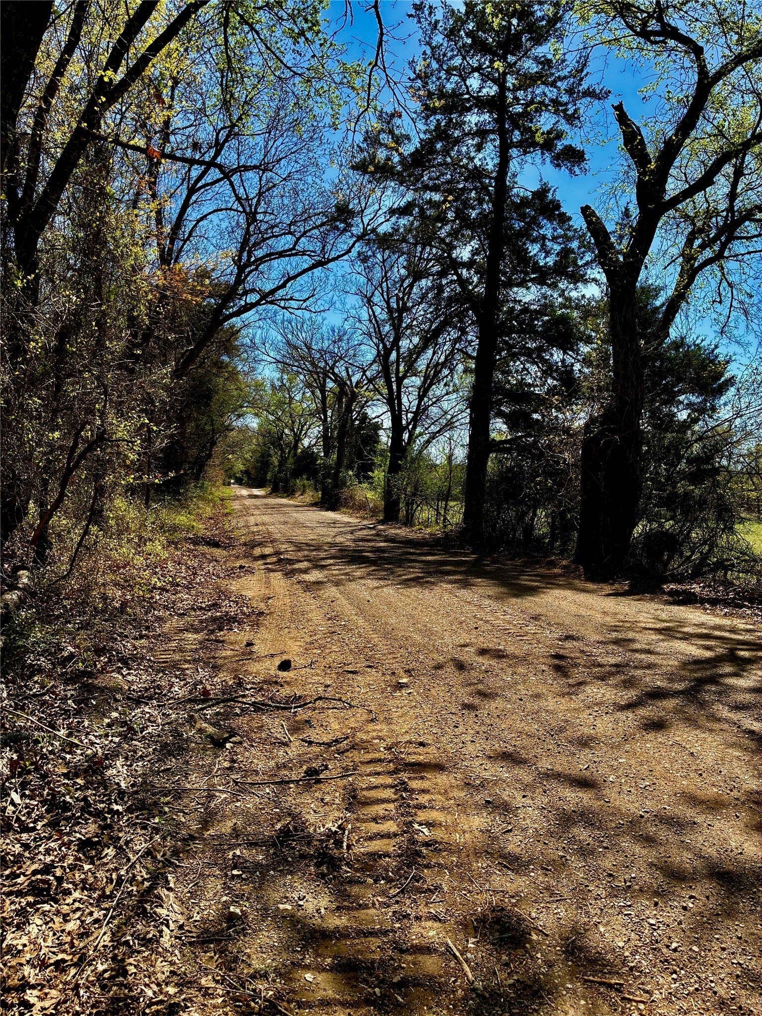 8 acres in Fannin County - photo 9