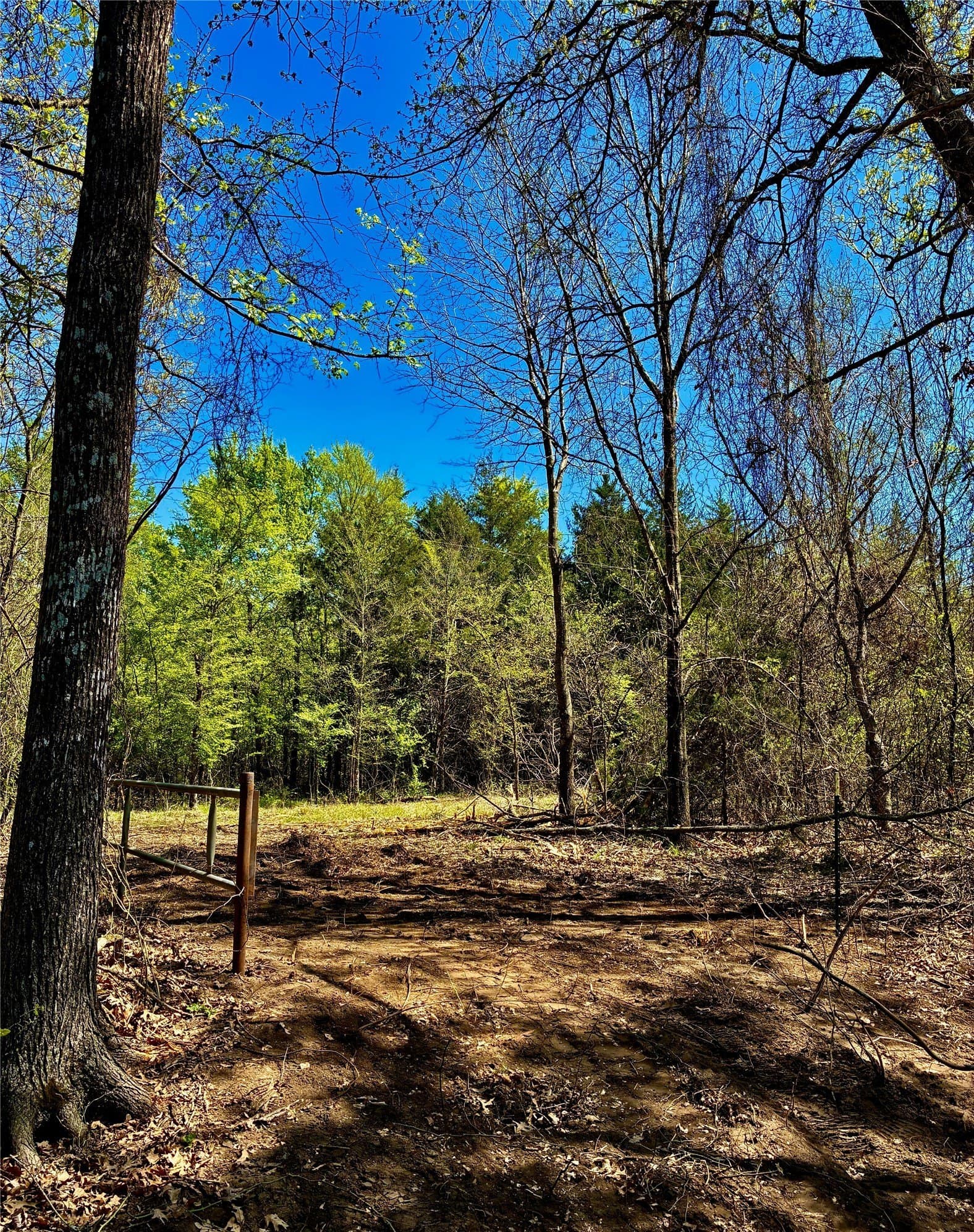 8 acres in Fannin County - photo 5