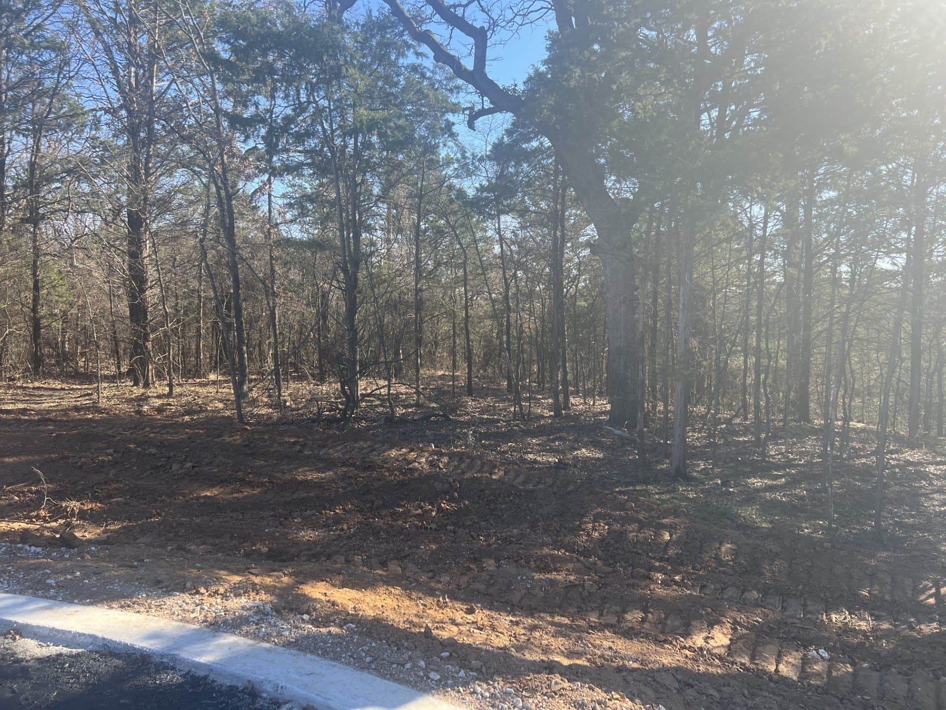0.41 acres in Grayson County gallery image 2