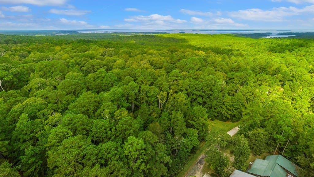 0.22 acres in Texas County gallery image 4