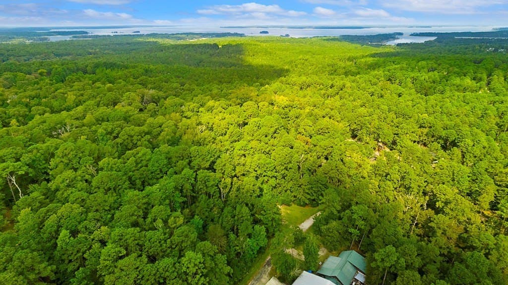 0.22 acres in Texas County gallery image 3