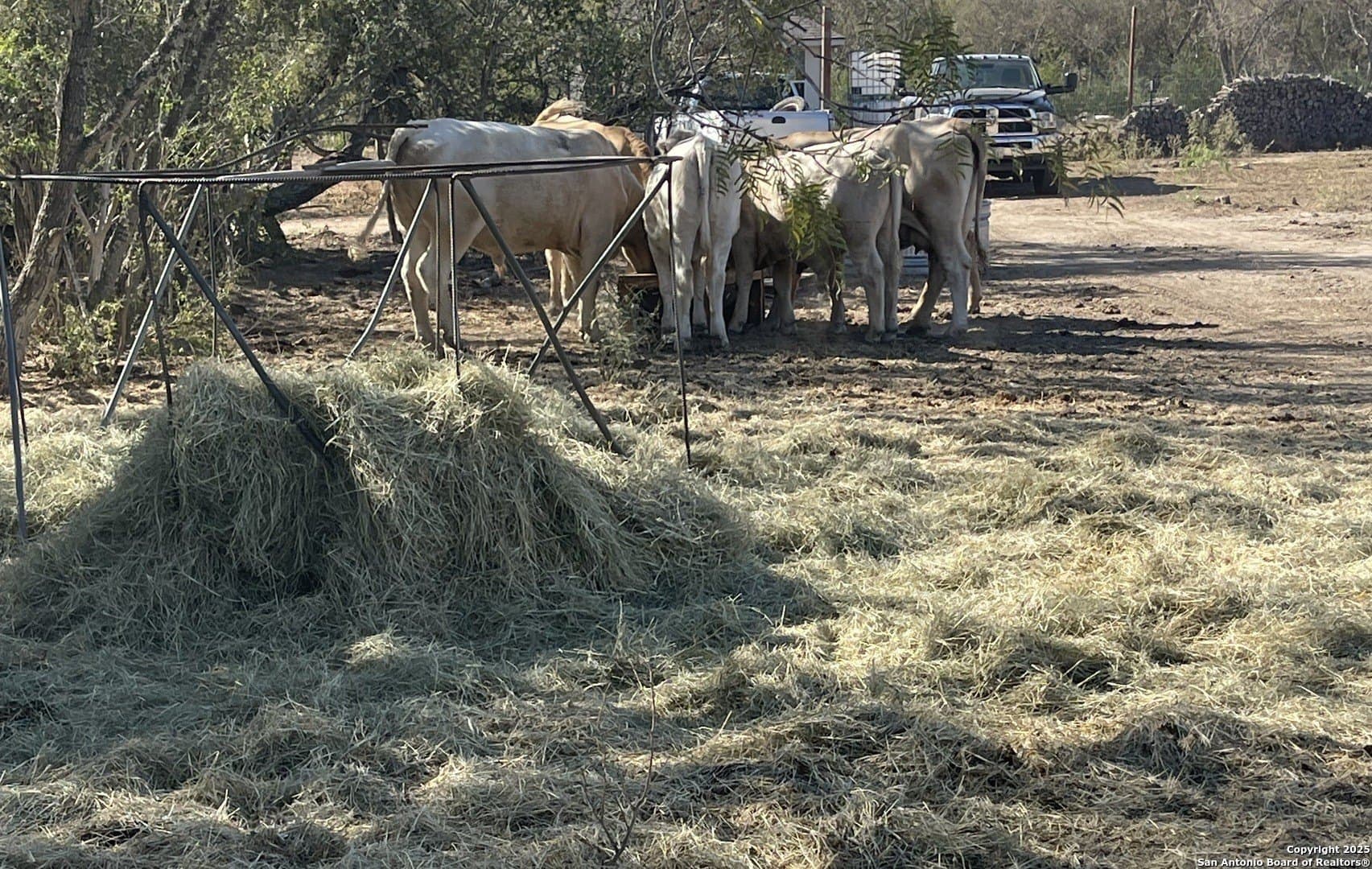 15.7 acres in Bexar County - photo 12
