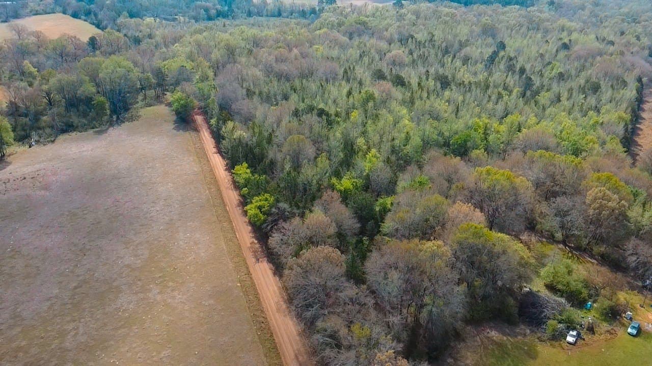 75 acres in Cass County gallery image 4