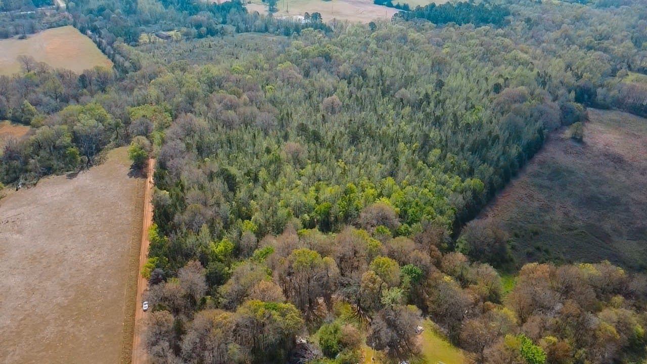 75 acres in Cass County gallery image 3