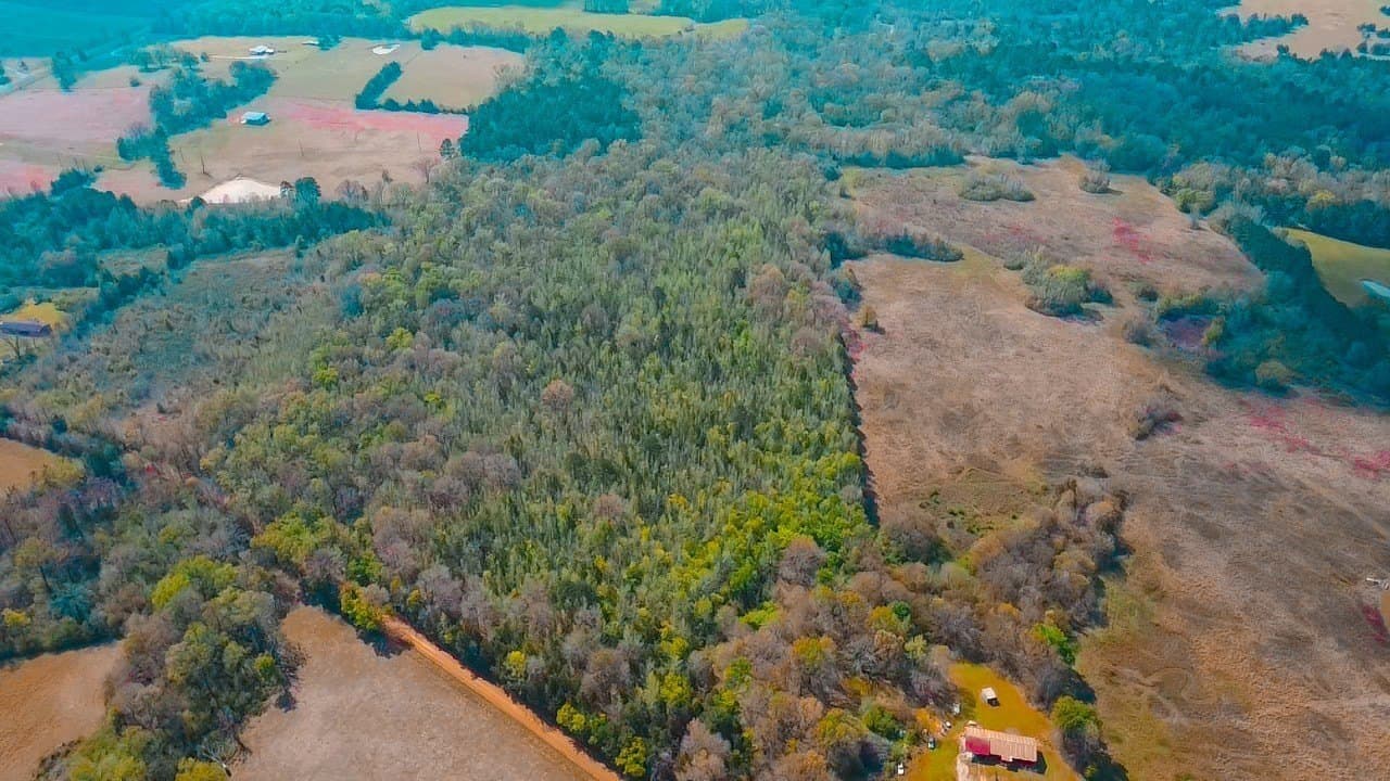 75 acres in Cass County gallery image 2