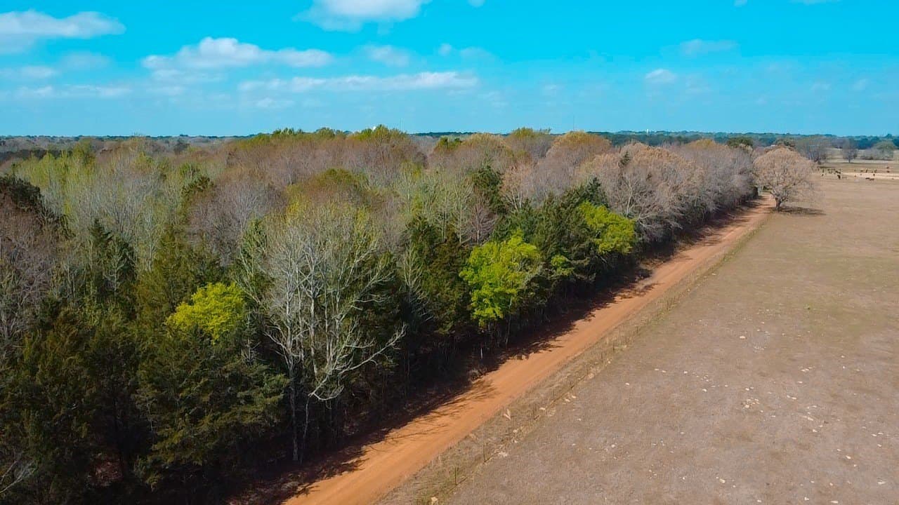 75 acres in Cass County - photo 6