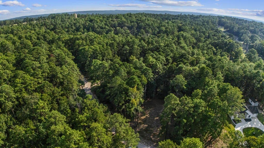 0.51 acres in Texas County - photo 8