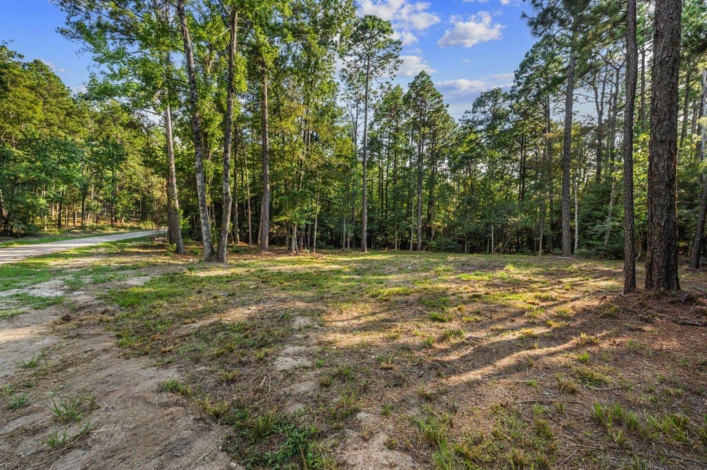 0.51 acres in Texas County - photo 4