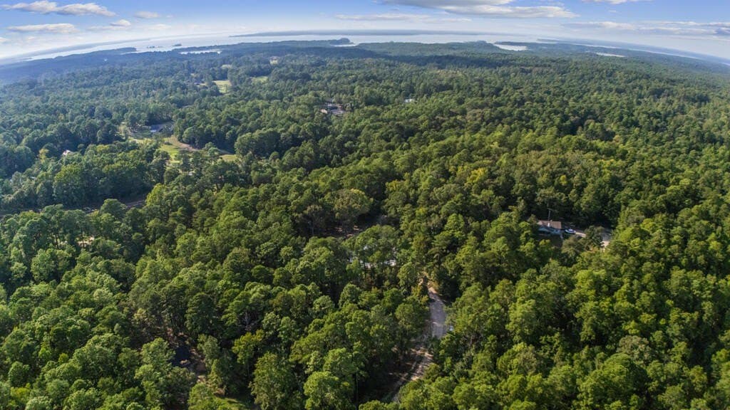 0.51 acres in Texas County - photo 6