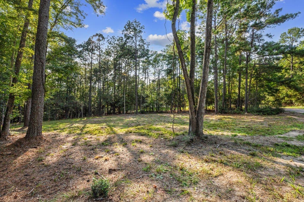 0.51 acres in Texas County - photo 3