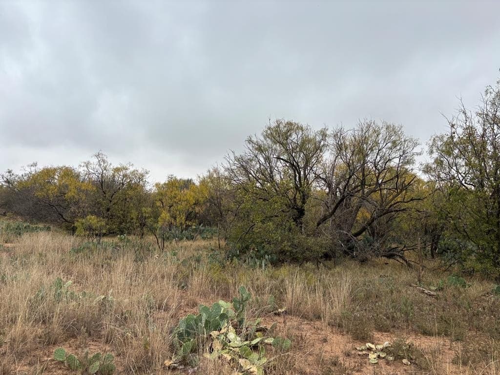1.29 acres in Scurry County gallery image 4