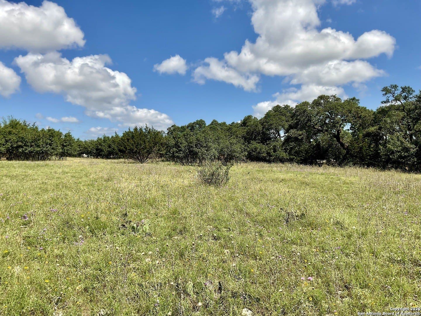 0.3 acres in Blanco County gallery image 2