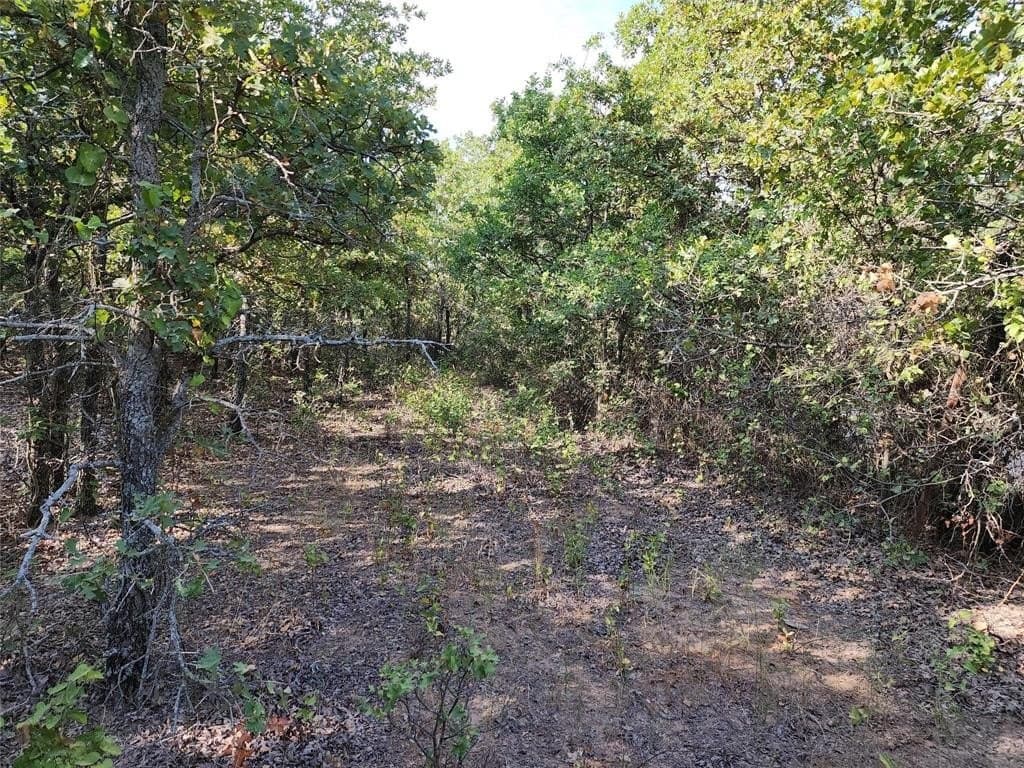 10 acres in Stephens County gallery image 4