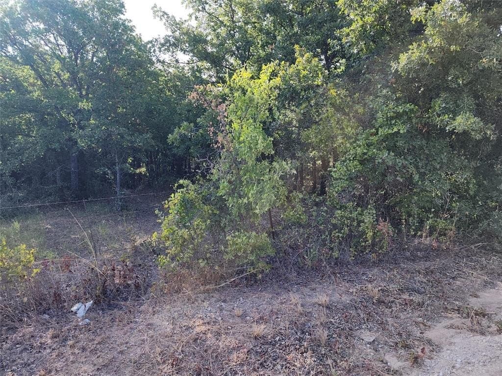 10 acres in Stephens County gallery image 2