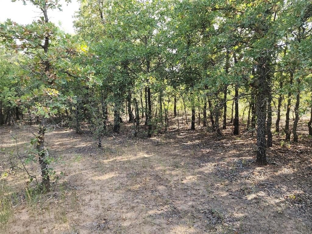 10 acres in Stephens County gallery image 3