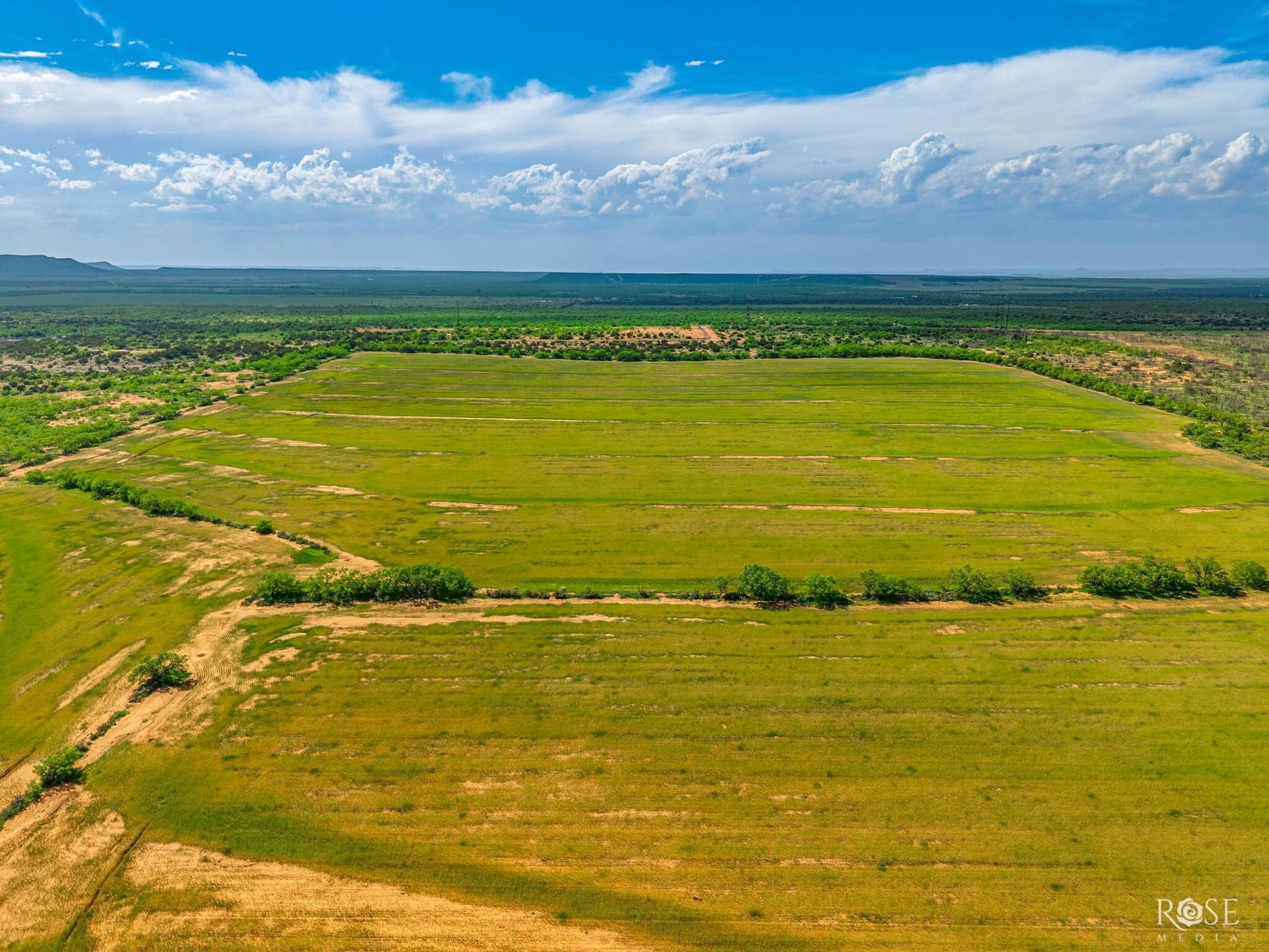174.1 acres in Coke County - photo 22