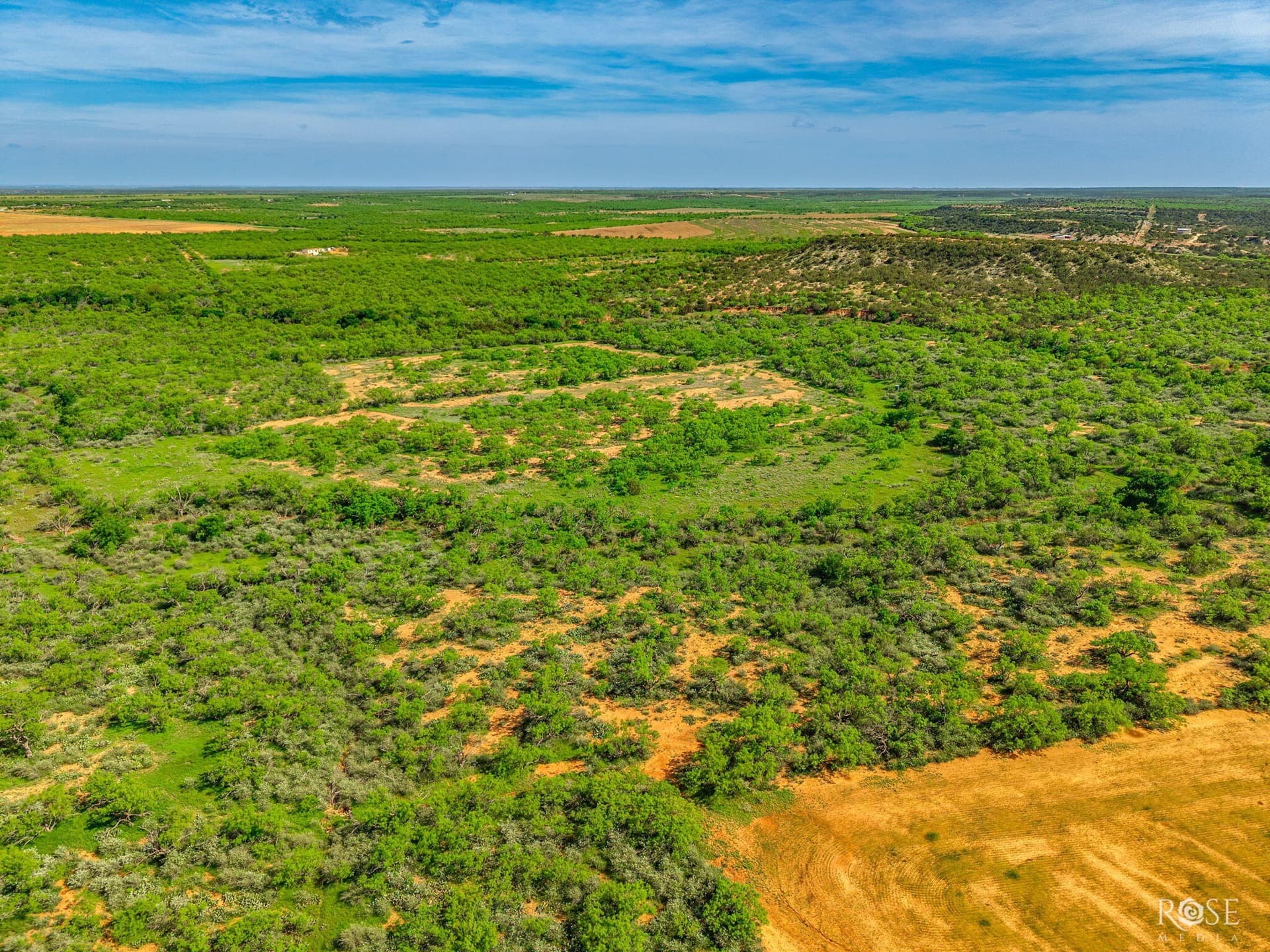174.1 acres in Coke County - photo 23