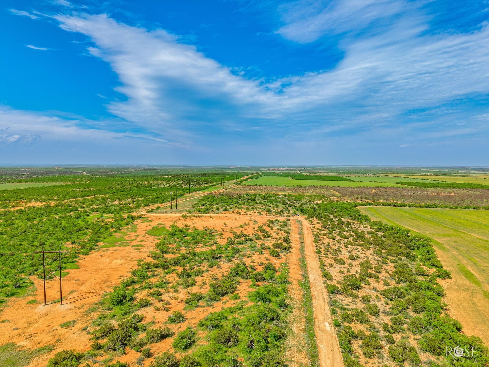 174.1 acres in Coke County gallery image 3
