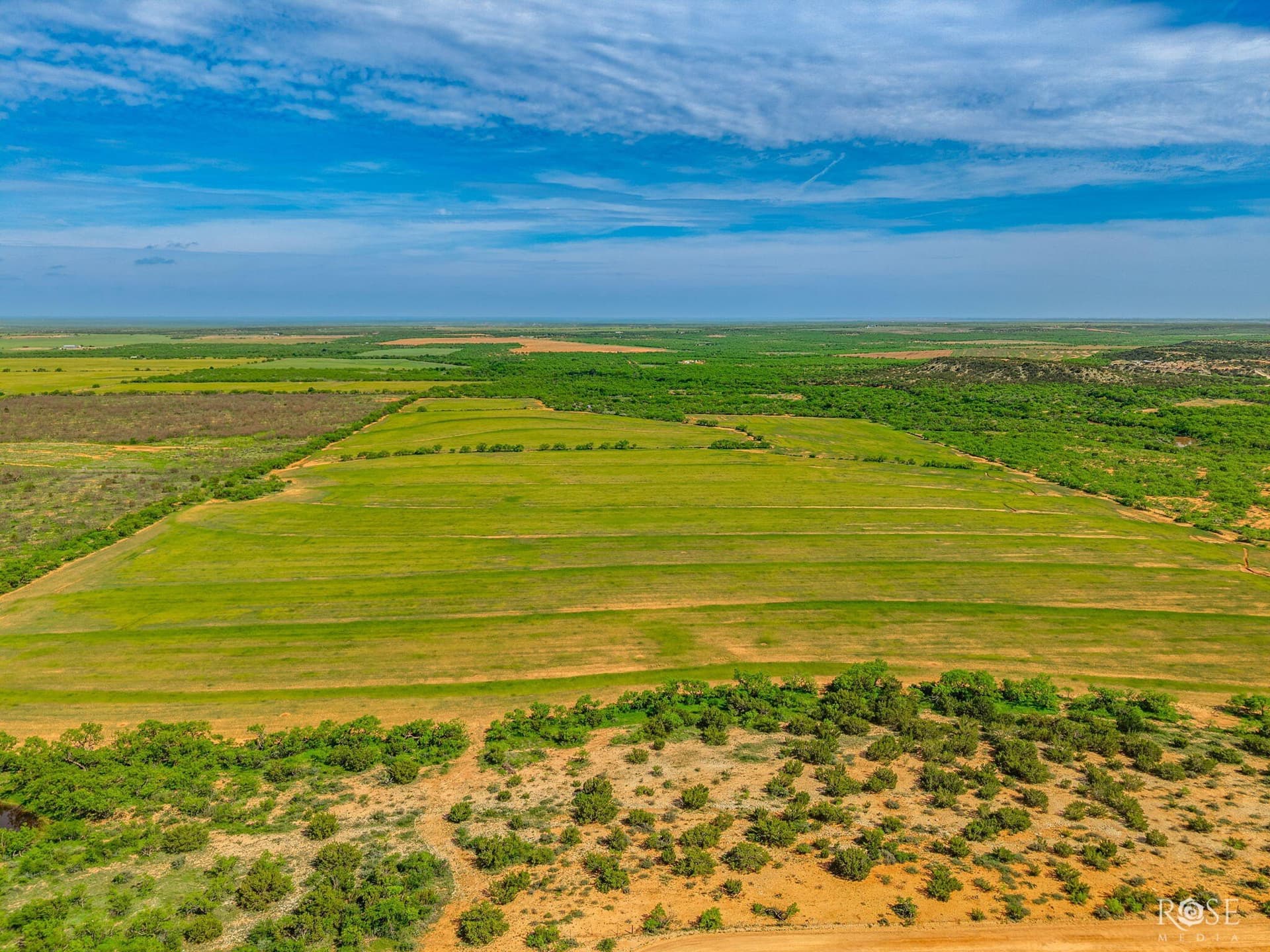 174.1 acres in Coke County - photo 13