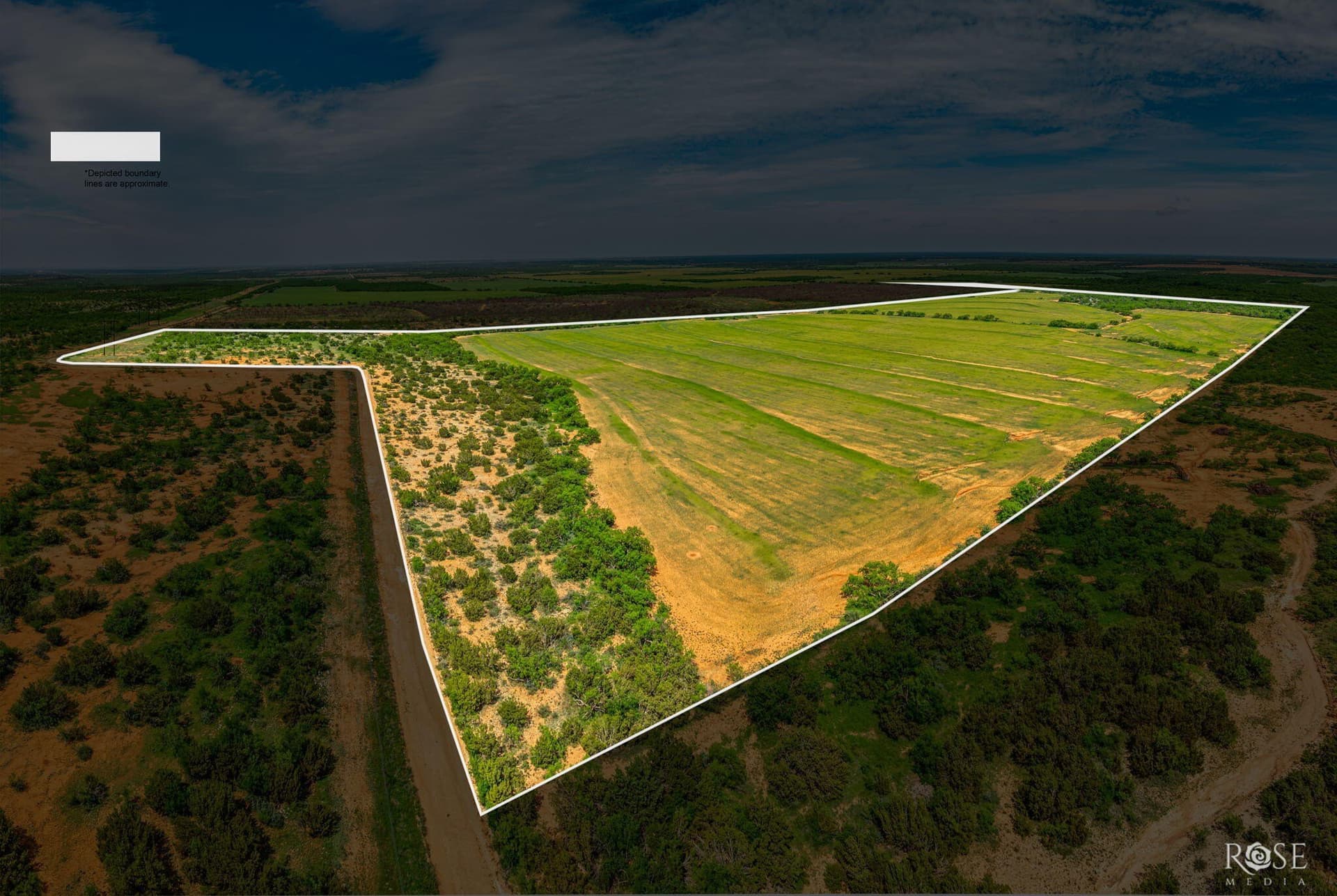 174.1 acres in Coke County gallery image 2