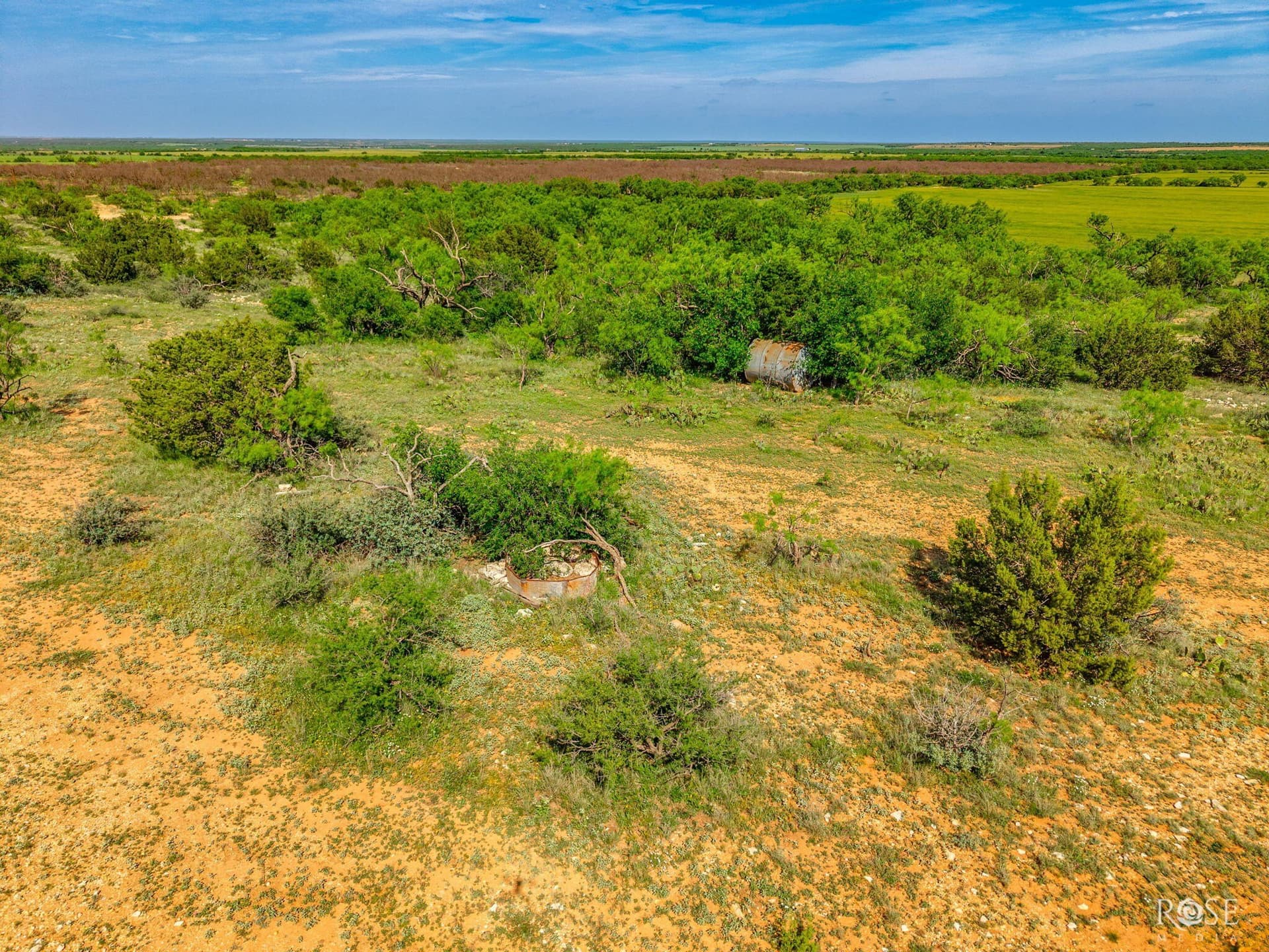 174.1 acres in Coke County - photo 17