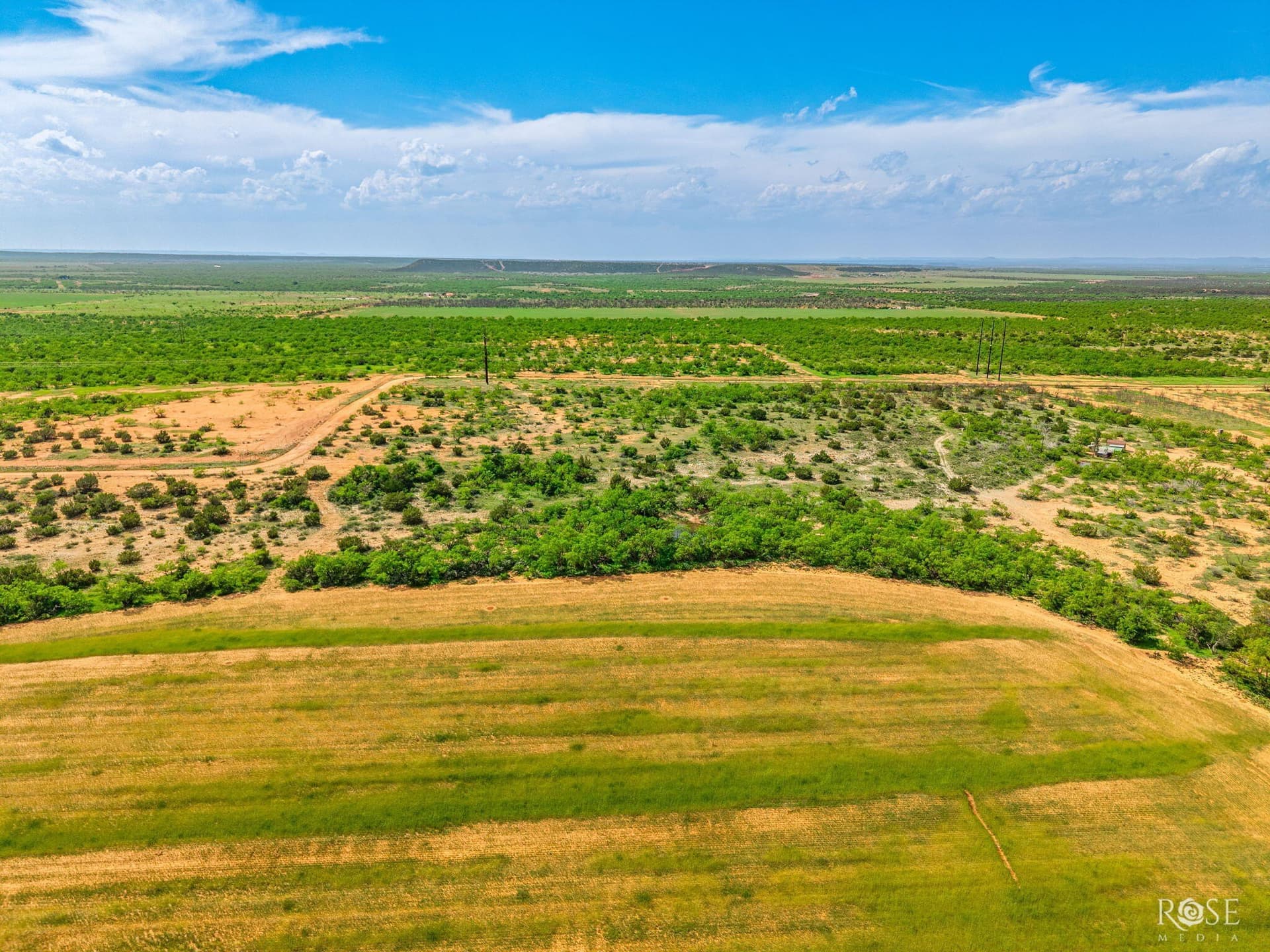 174.1 acres in Coke County gallery image 4