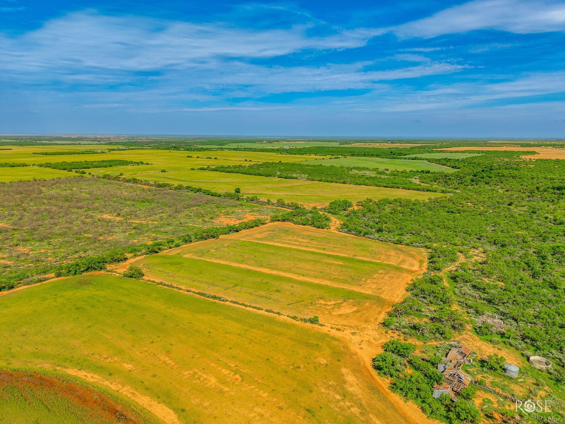 174.1 acres in Coke County - photo 20