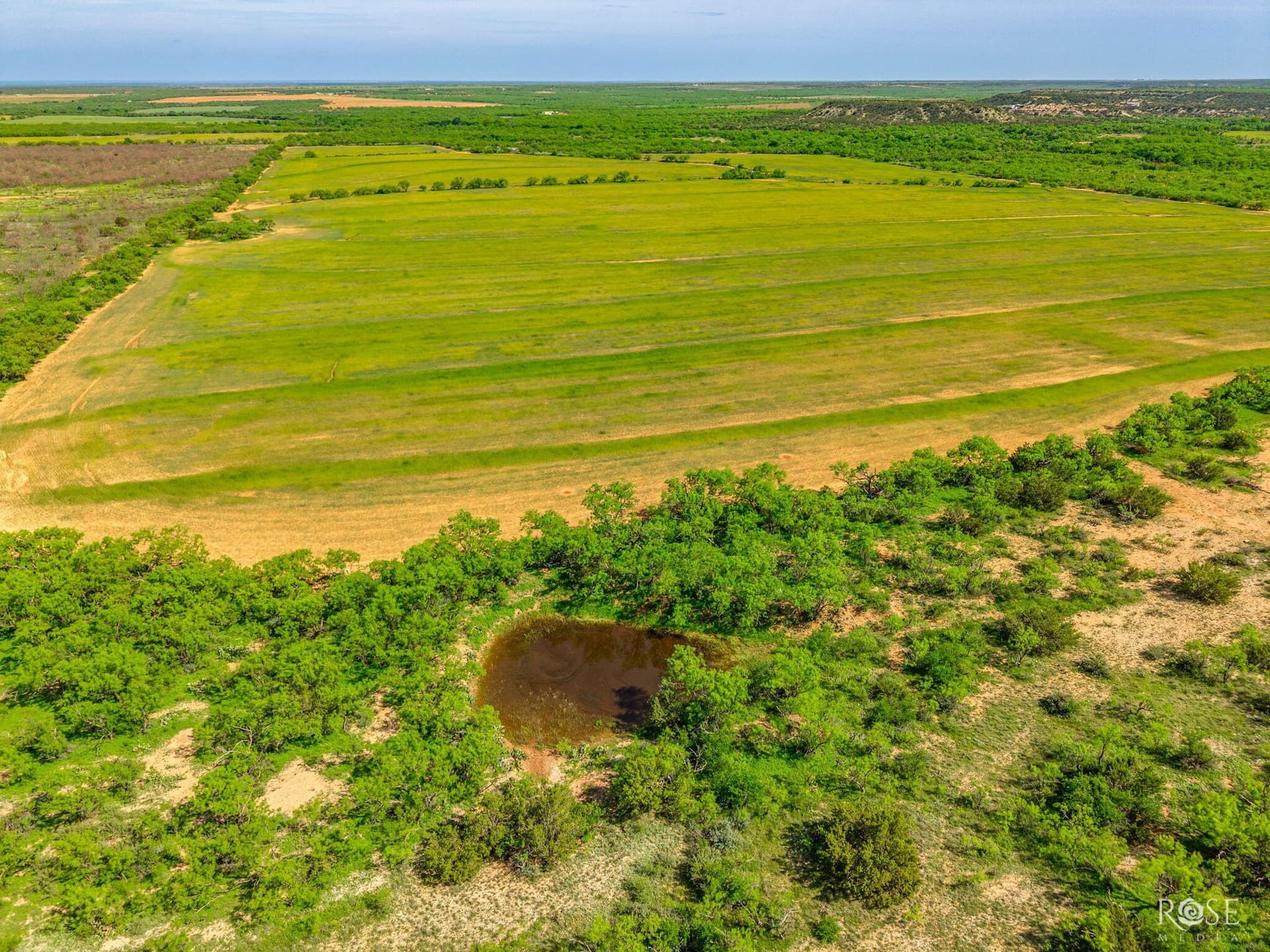 174.1 acres in Coke County - photo 16