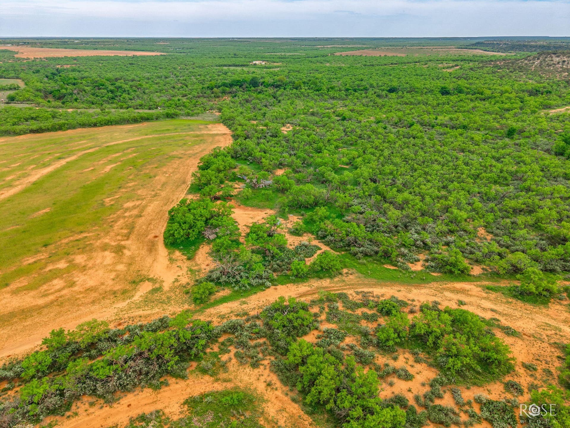 174.1 acres in Coke County - photo 32