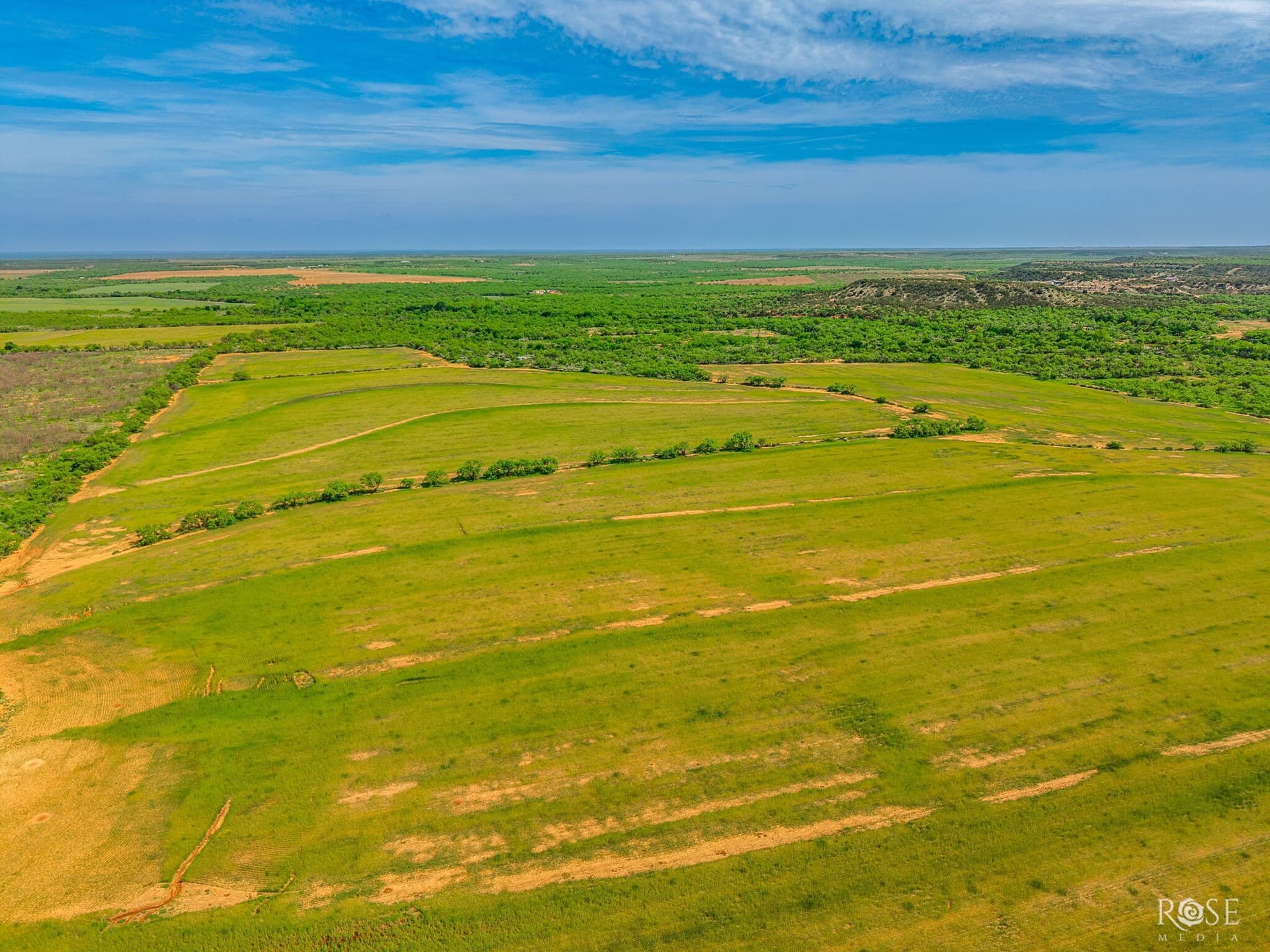 174.1 acres in Coke County - photo 6