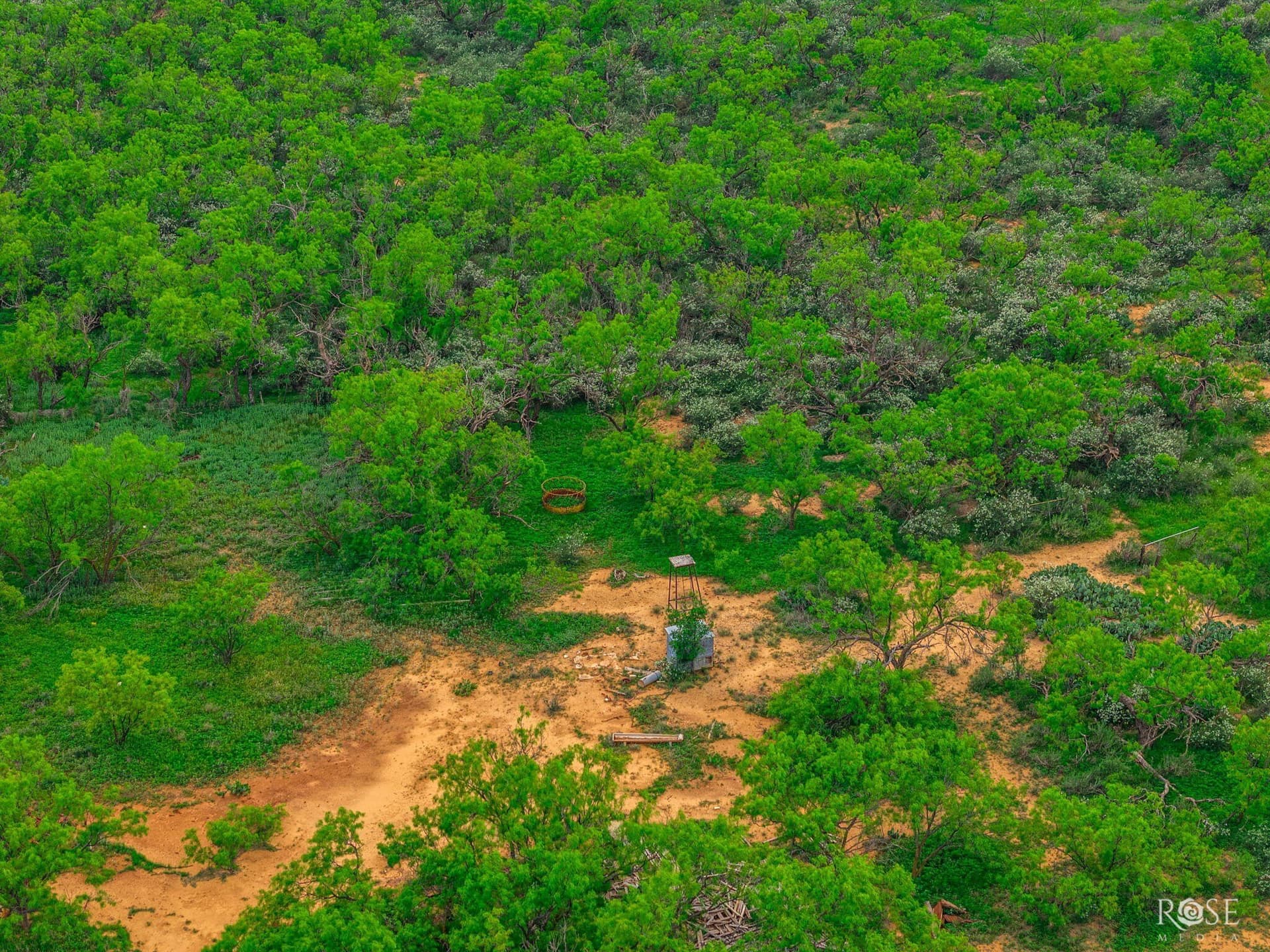 174.1 acres in Coke County - photo 33