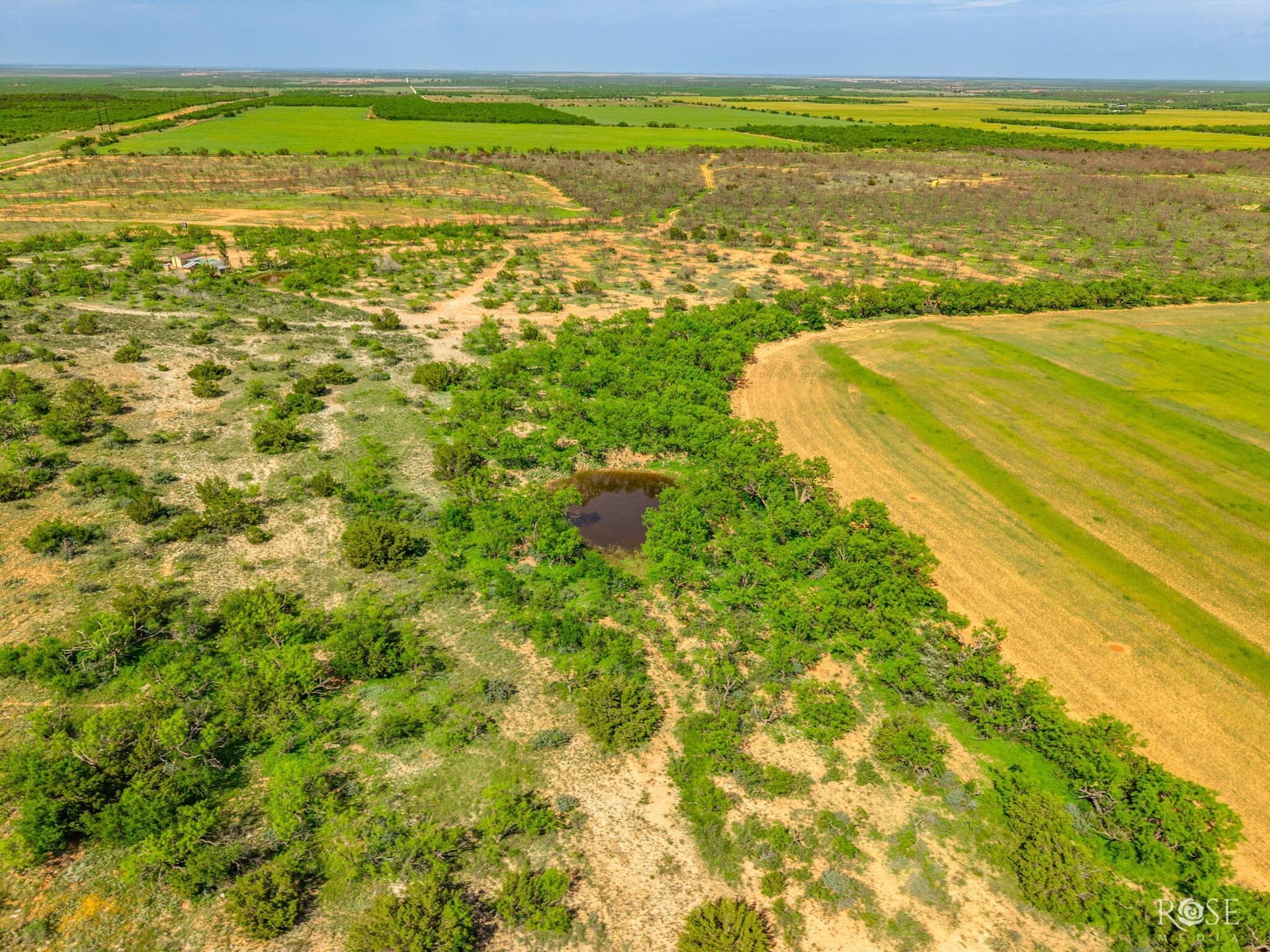 174.1 acres in Coke County - photo 11