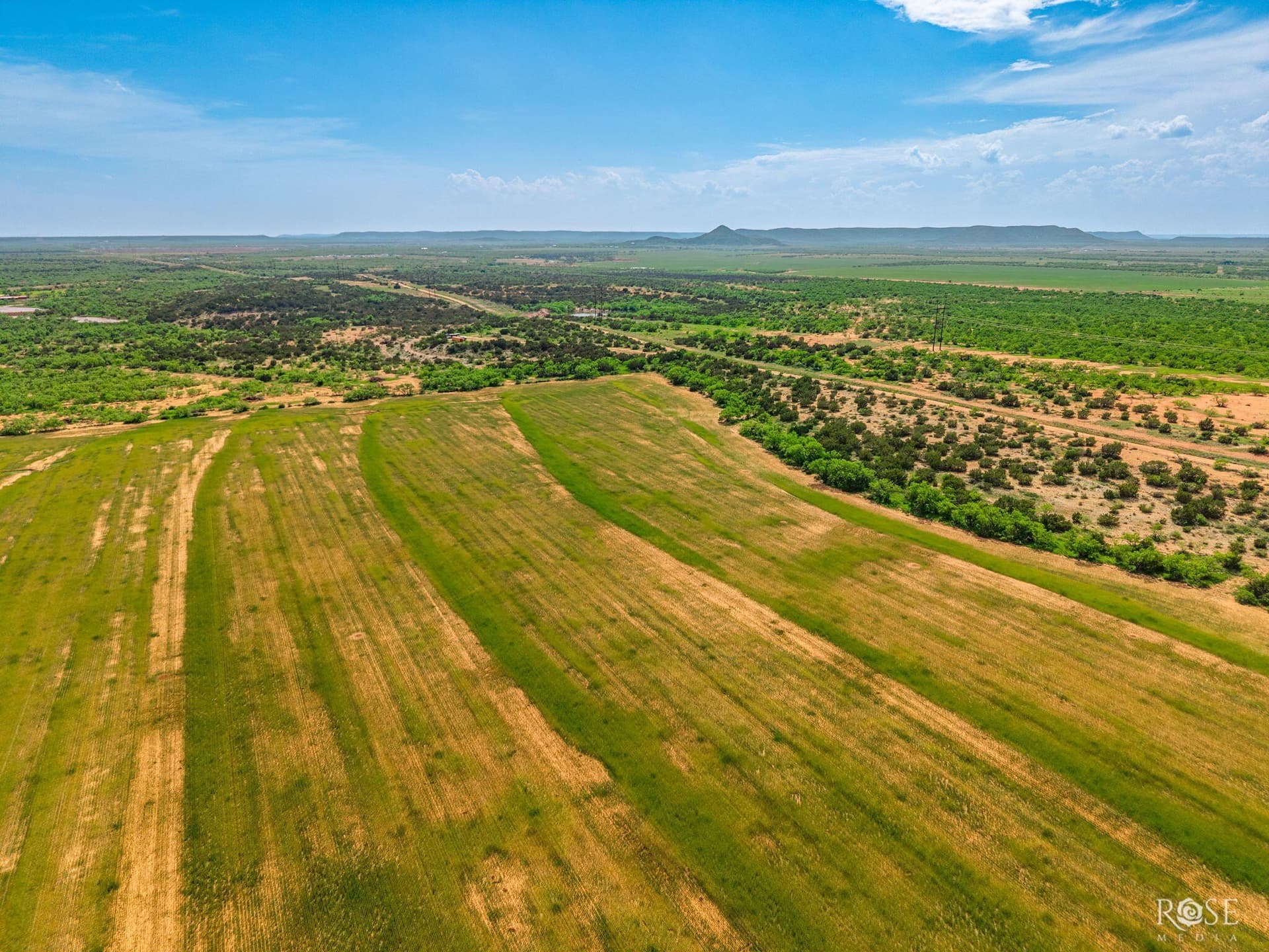 174.1 acres in Coke County featured view