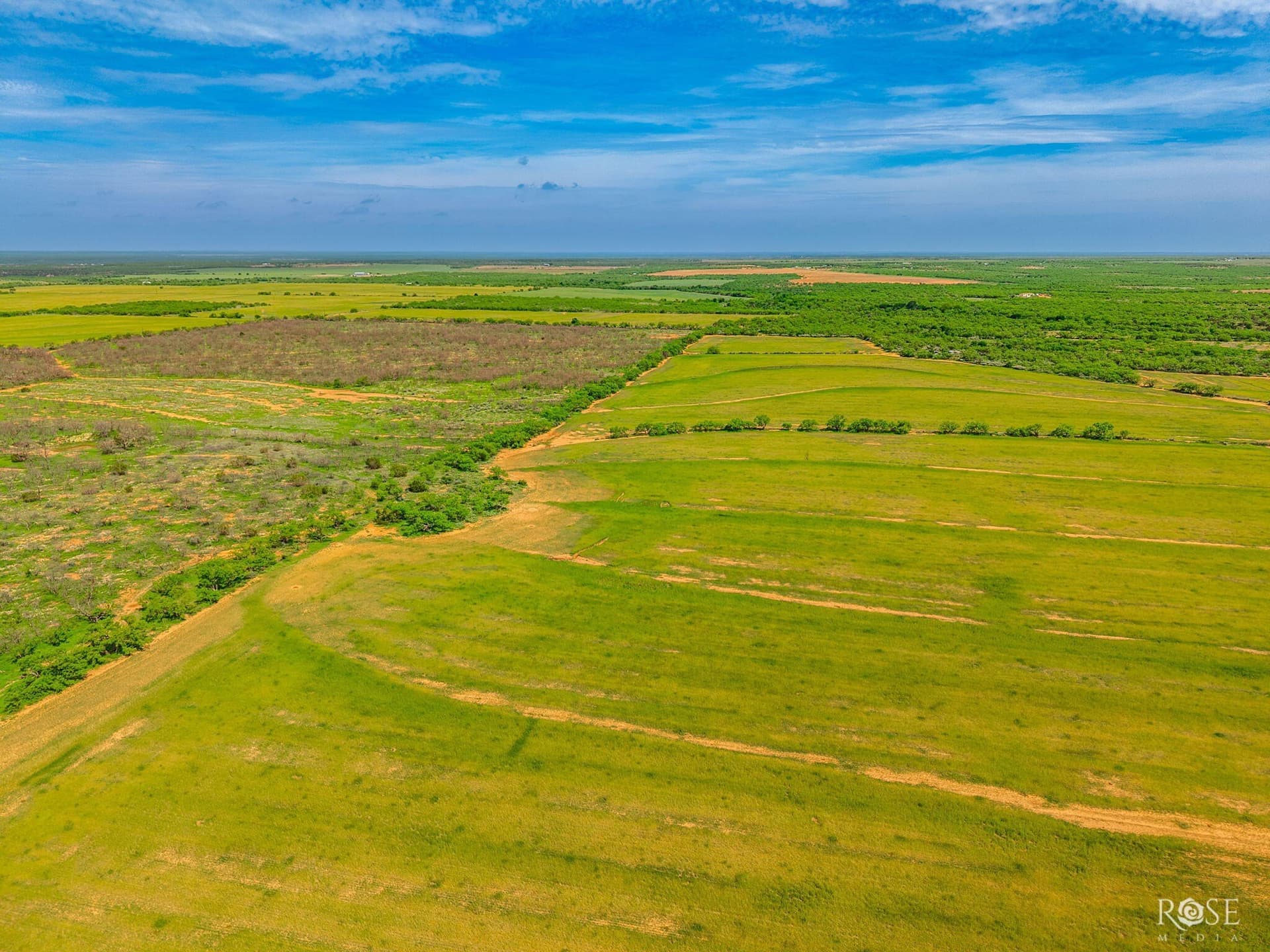 174.1 acres in Coke County - photo 7