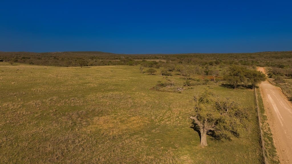 55 acres in McCulloch County featured view