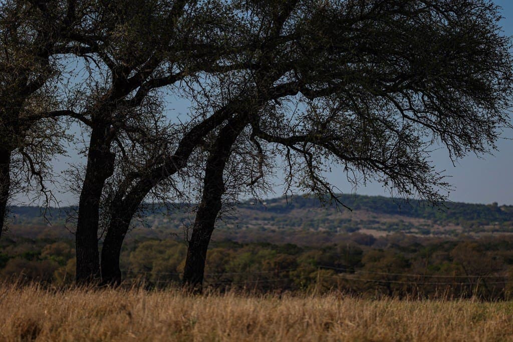 55 acres in McCulloch County - photo 28