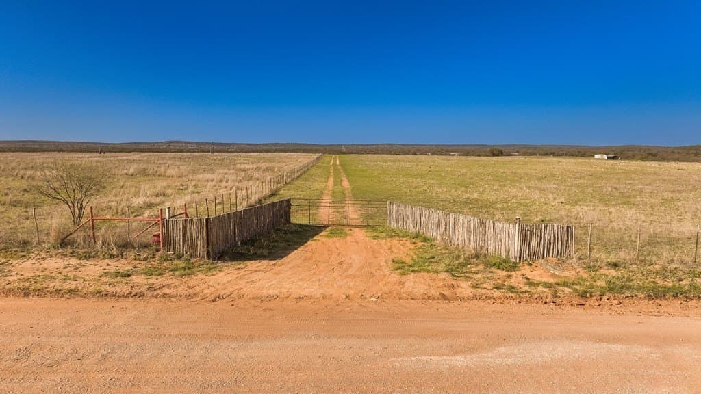 55 acres in McCulloch County gallery image 2