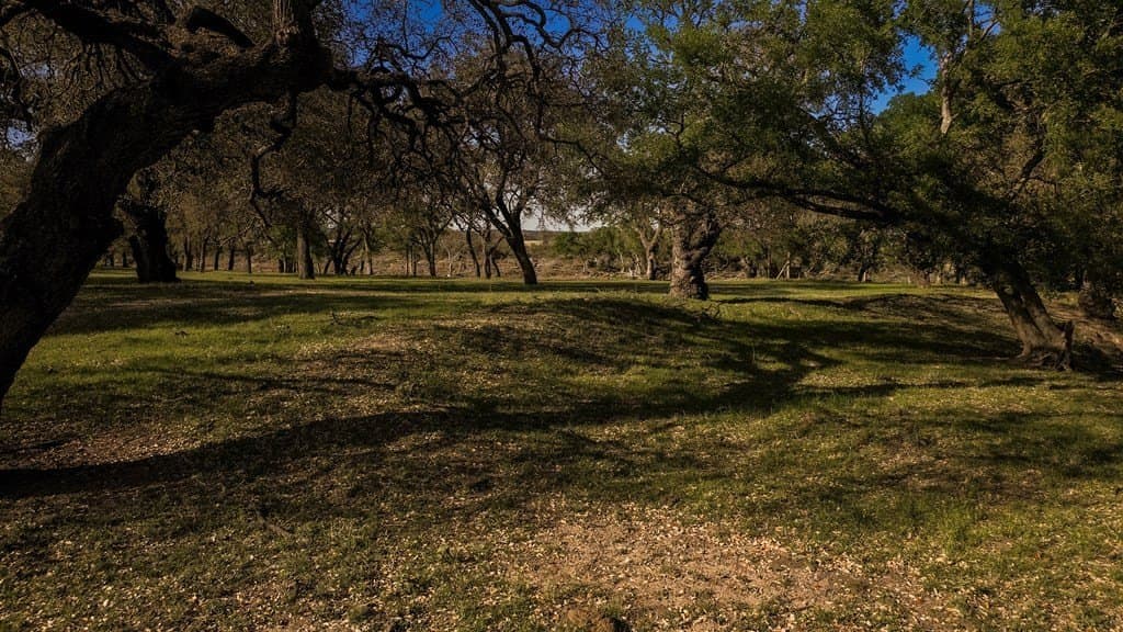 55 acres in McCulloch County - photo 25